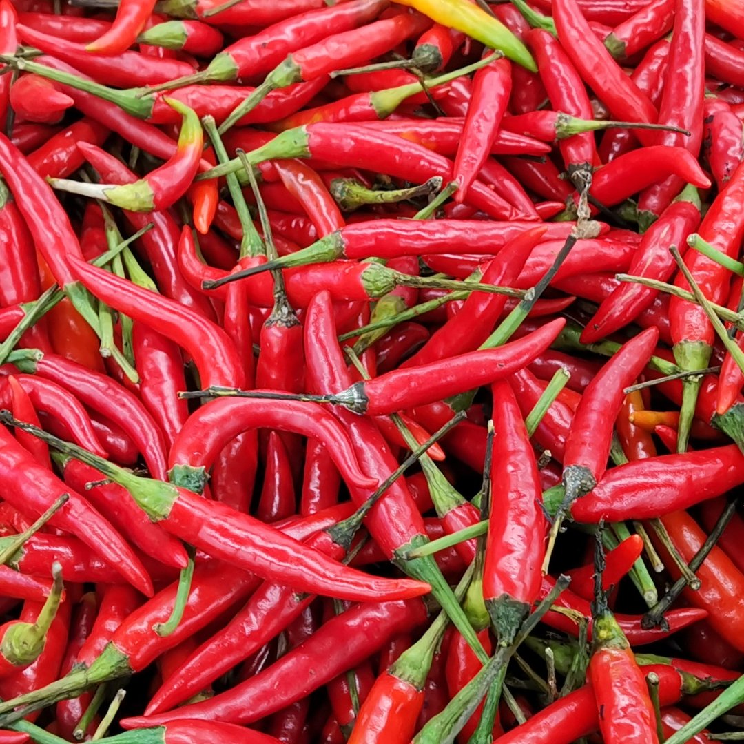 Bird's Eye Chilli